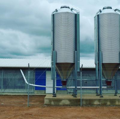 High Stable Prefabricated Light Steel Structure Farm Sheds Poultry House Building