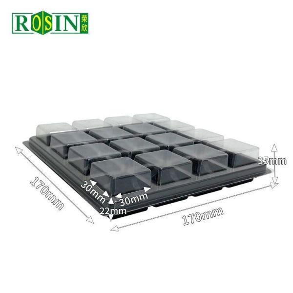 Custom 5 Cavity Chocolate Insert Trays Disposable Blister PP With Clear Lid