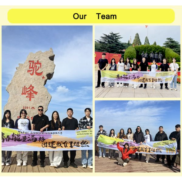 Black Expanded Metal Mesh Sheet For Wall Reinforcement 1.22*2.44m