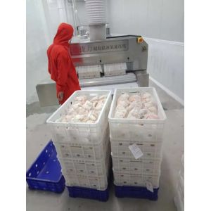 mariscos ultrabajos del congelador del pecho del soplo de aire de 1200kg/H 1000kg/H menos 120C