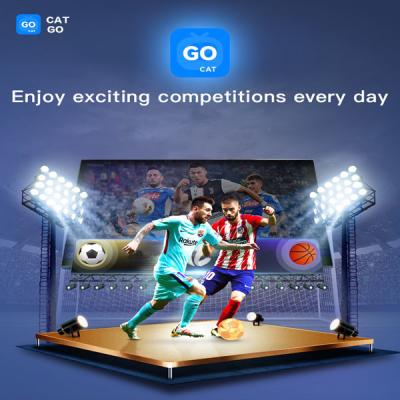 Digibox BT5.2 Iptv Box 4gb Ram Bluetooth Voice Control For TV