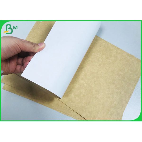 cartón revestido superior blanco de 250gsm 270gsm Kraft hojas de la categoría alimenticia de 70 * del 100CM