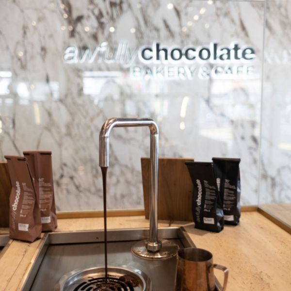 45KG Net Weight Electric Chocolate Melting Pot Machine for Raw Material Processing