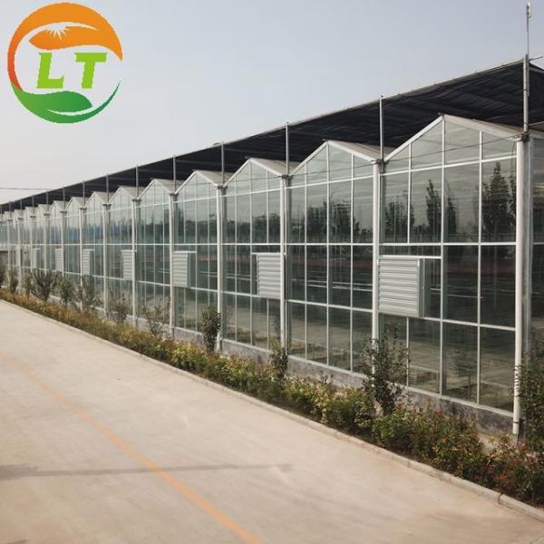 Victorian Glass Greenhouse Width 8m or Customized Made of Transparent Glass Material
