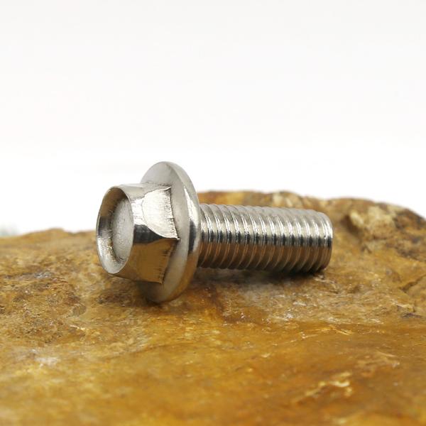 Metric Anti Slip Bolt Screws Customization Stainless Steel Flange Face Screws