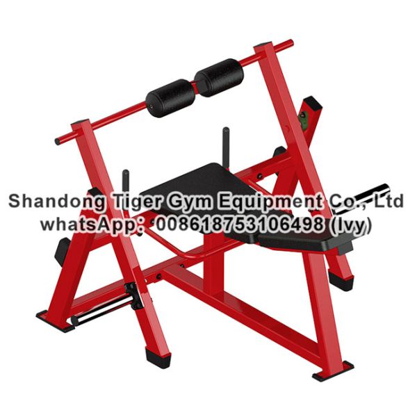 Gym Fitness Equipment Strength Hip and Glute exercise machine