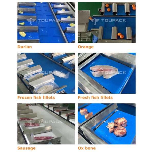 7-Head Flip Type Multihead Weigher for Sticky Seafood with 20–30 packs/min Speed and Memory Hopper