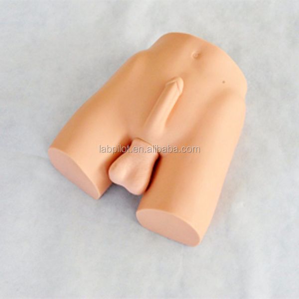 Advanced PVC Vasectomy Manikin Model and Vasoligation Training Simulator for Products