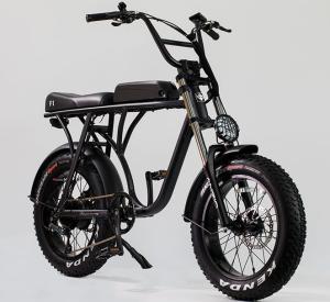 20" baixa gorda grande 36v 10ah 350w da cidade da praia de Ebike do assinante da
