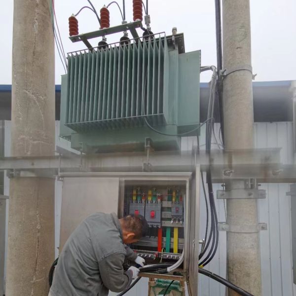 10KV Fully Sealed Oil Immersed Distribution Transformer For Modern Power Grids