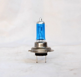 H7 BULBS