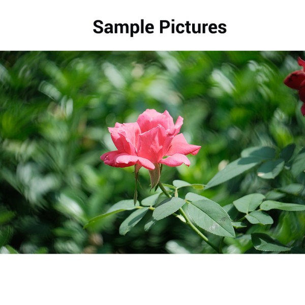 Adjustable Swirly Bokeh Filter 49mm - 82mm Optical Filters With Aluminum Alloy Frame
