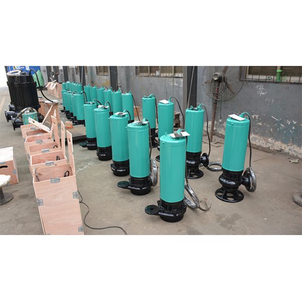 Electric Non Submersible Wastewater Pumps 11kw 15kw 37kw 50 Hp 100hp Power