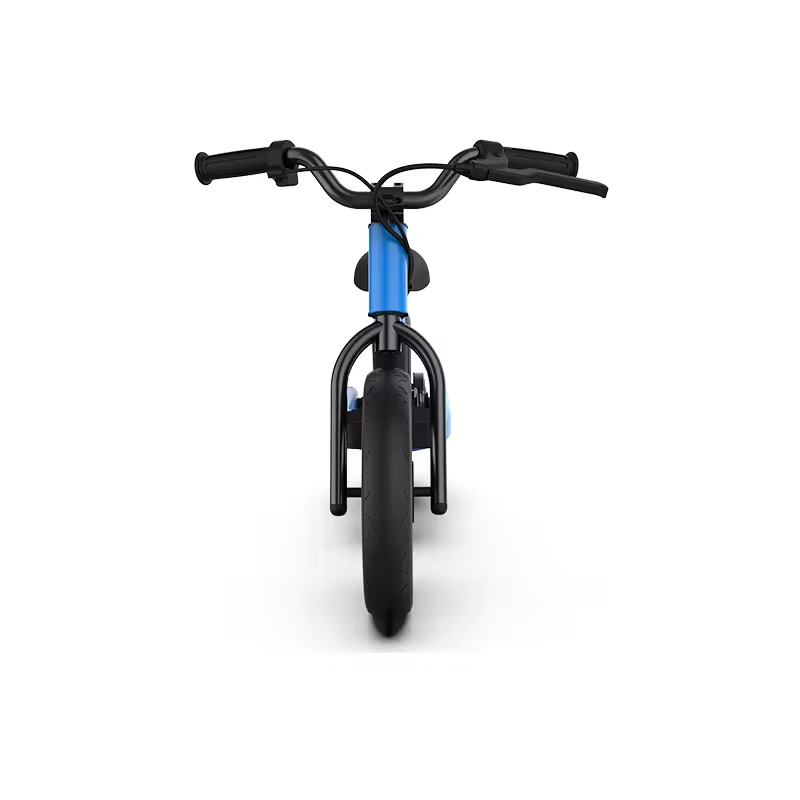 2024 AOTONG MOTOR Electric 2 Wheel Balance Scooter with Disc Brake and 16