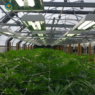Electric Type Full Dark Blackout Greenhouse For Agricultural Commercial