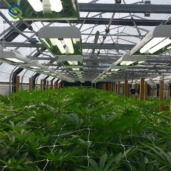 Taille personnalisée Déficit lumineux Serre à éteindre Système d'irrigation inclus