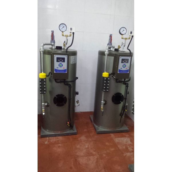 750kg 0.7Mpa Natural Gas Steam Boiler Quick Delivery For Food Industry