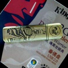 O flash marcado de USB conduz para a terracota do descolamento de kingston