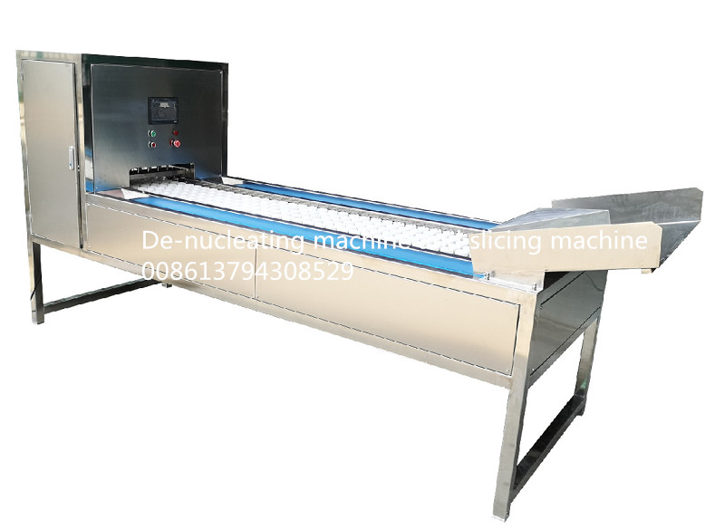 плод диаметра 600Pcs/Min 50mm с автомата для резки ядра