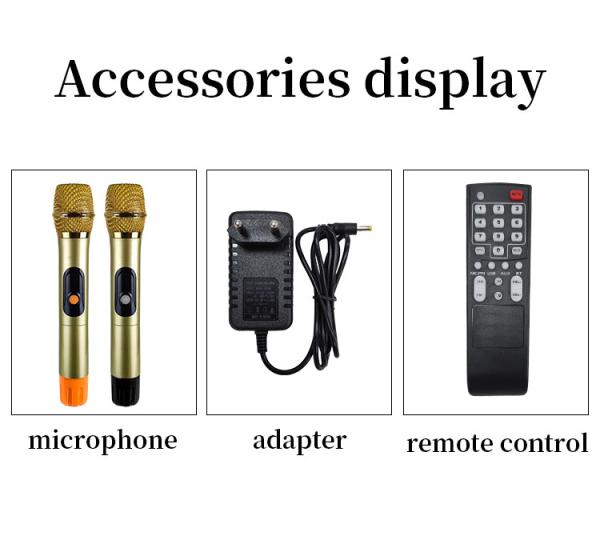 Customized Karaoke Portable Bluetooth Speaker 6.5 Inch Subwoofer Speaker Box