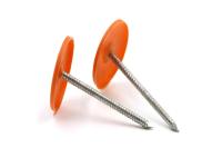 Plafond clous de 1 Ring Shank Plastic Caps For de pouce