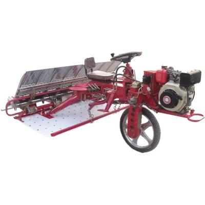 A plantação dobro arma 6 o espaço da fileira da máquina 300mm do Transplanter do arroz da fileira