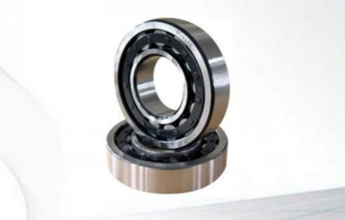 Single Row Precision Nsk Cylindrical Roller Bearings NUP 304 ECP 20 x 52 x 15mm