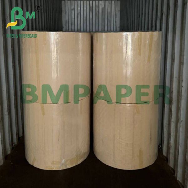 Biodegradable Waterproof Silicone Oil Baking Paper For Barbecue Biodegradable Waterproof Silicone Oil Baking Paper For Barbecue