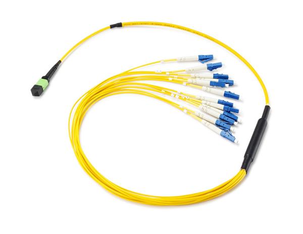 Flat Round MPO MTP Fiber Optic Patch Cord , 12 Core Ribbon Fiber Cable OFNR Jacket