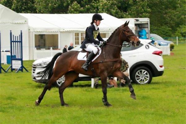 Equestrian Riding Arenas Specical Event Tent 20x100 Semi Permanent White Tent Pvc Fabric Horse Event