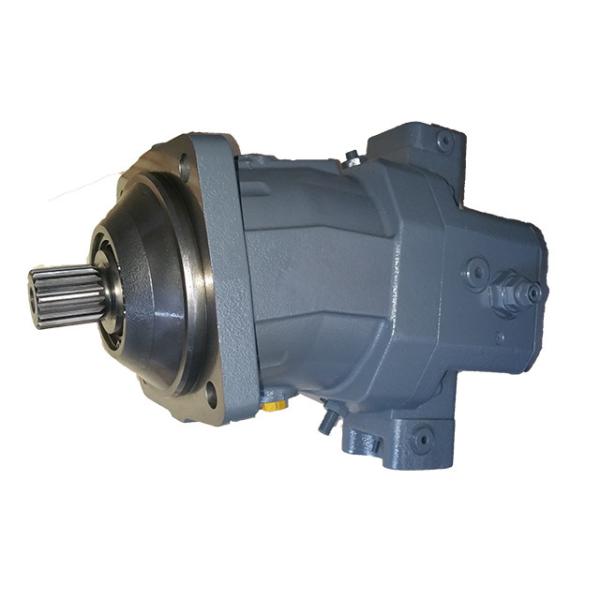 Replacement A7vo Rexroth Hydraulic Axial Piston Pump A7VO12 A7VO28 A7VO55 A7VO80