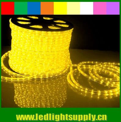 led light stage curtain 1/2'' 2 wire rope light with low voltage 12/24v