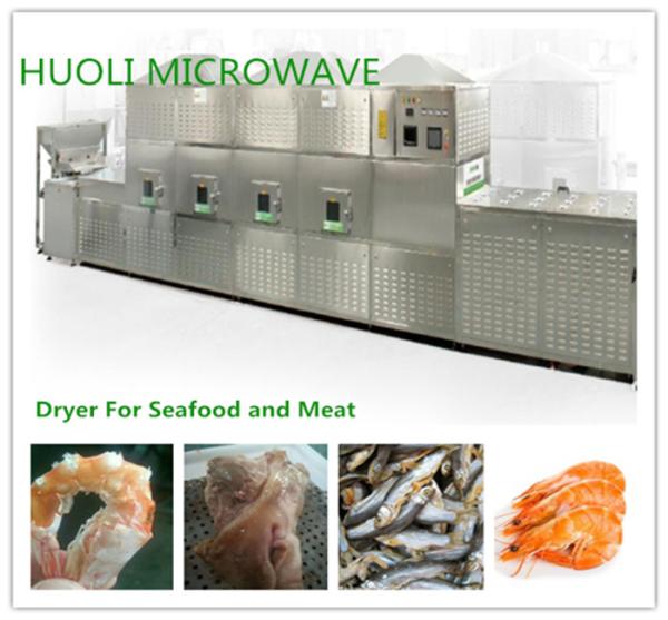 Fully Automatic Feed Microwave Dryer  Seafood Microwave Drying Equipment, Food Drying Machine