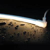 Lumières LED DC24V à néon pour piscine