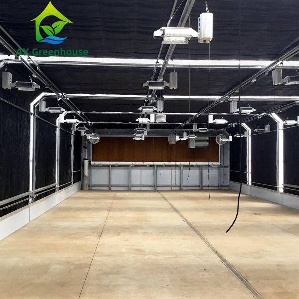 Cultivo de hierbas medicinales apagón automático de invernadero privación de luz para hongos