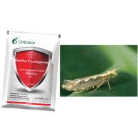 Bacillus Thuringiensis WP Bt Pesticida para culturas de algodão