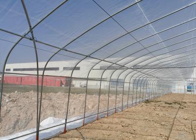 Commercial Plastic Film Greenhouse Hydroponic Hot Dipped Galvanized Steel Structure