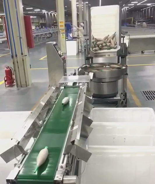 DF-GD200 7 Section 0.4-0.8Mpa Weight Sorting Scale 5g-200g IP66 For Meat Food Display Division 0.1g AC220/50Hz
