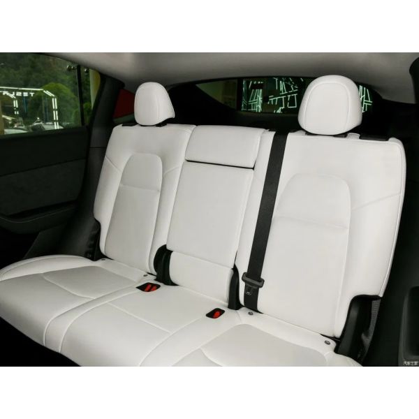 High Pressure Diesel Tesla Model Y Car Wash Machine Electric Fuel Experience Car
