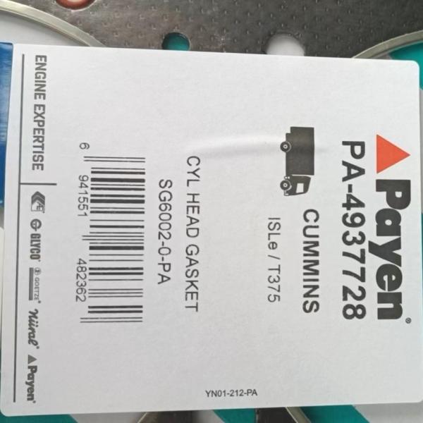 entrega rápida da gaxeta principal de cilindro dos cummins PA-4937728 do lgmc 4937728
