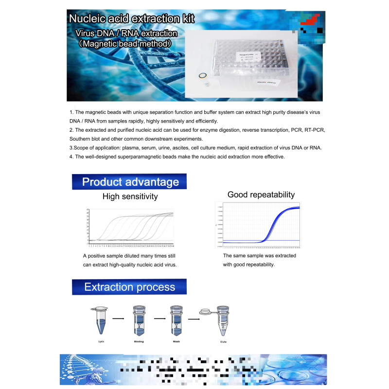 High Quality Automatic Hospital Purification Hospital Clinic Lab Extractor Medical Lab Nucleic Acid Extractor