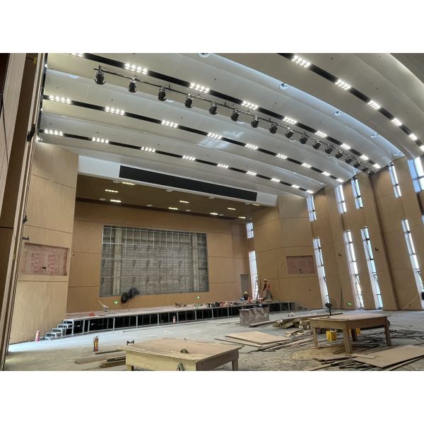 University Auditorium  2/2/0.5mm NANO Micro Perforated Acousitc Panels Sound Insulation Board