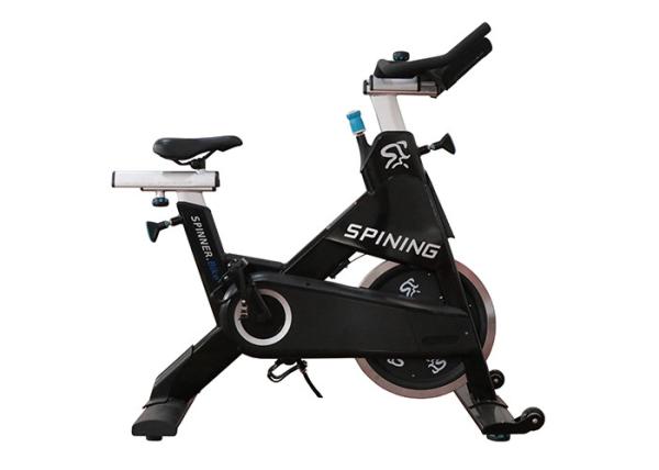Mestre do Gym do volante da bicicleta 20KG da rotação do Gym de Proform/bicicleta rotação da aptidão
