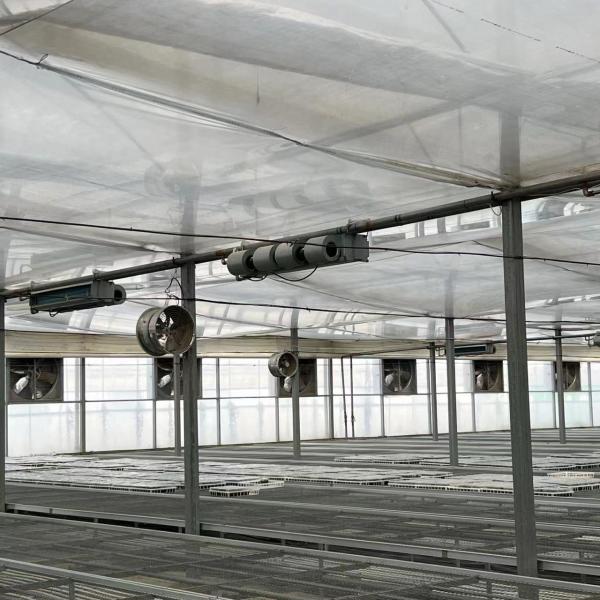 Alimentação em grande escala Alimentação por gotejamento Estufas 50,00cm * 60,00cm * 50,00cm Pagamento completo