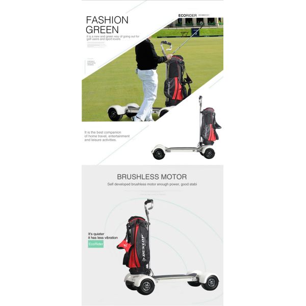 Brushless Motor 60KM Golf Electric Skateboard 1000W 60V 20.8AH 10.5 Inch