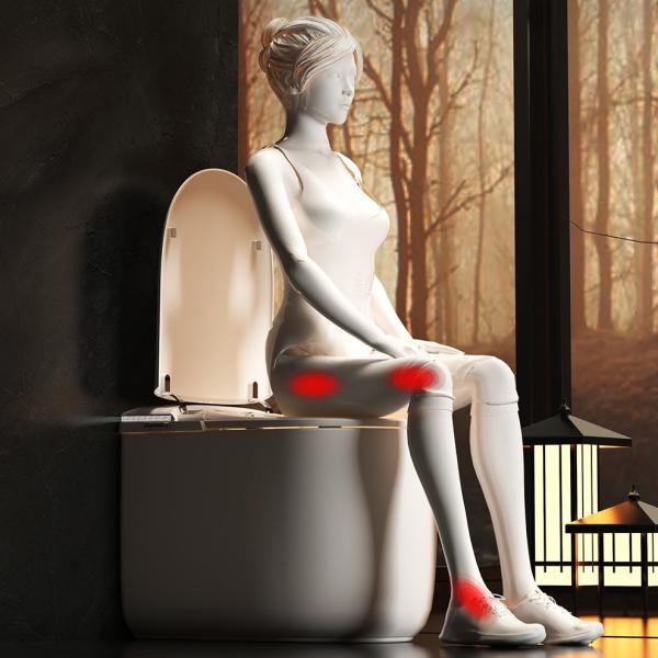 Smart Toilet Water Proof IPX4 Nozzle Self-cleaning Tankless Toilet