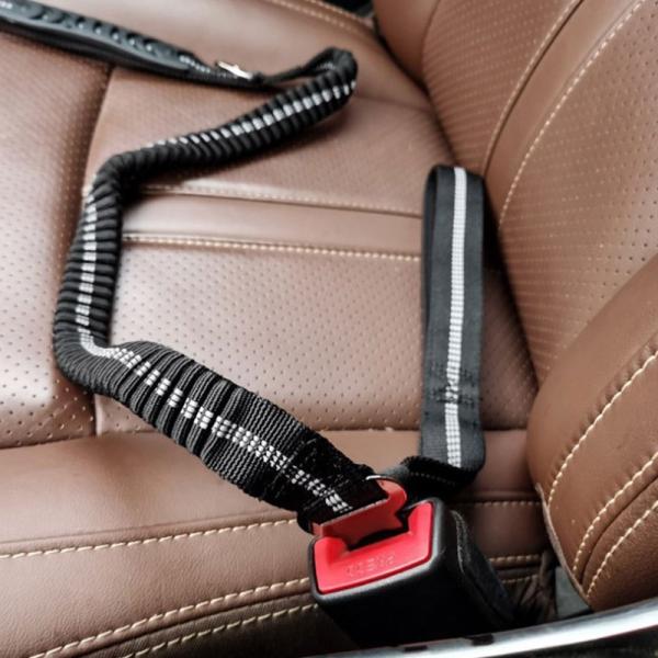 Telescopic  Dog Traction Rope Reflective Buffer Black