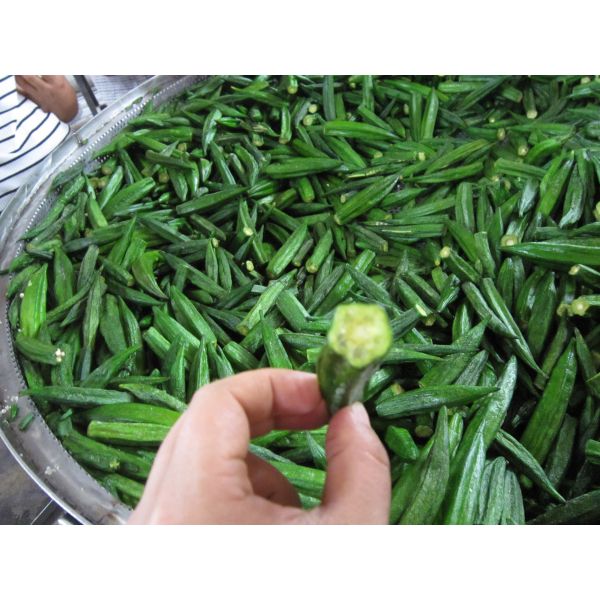 Lady's Finger Chips Vacuum Fryer Machine Continuously Oil Filtration 50kg-200kg