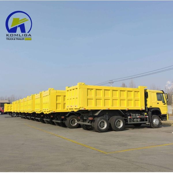 Euro 2 10 Wheels 6X4 Sinotruk 22cubic HOWO 3 Axles Dump Truck for Road Construction