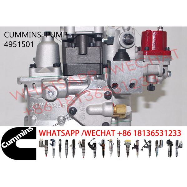 4951501 Cummins NTA855 Diesel Engine Pump 3021966 3973228 3262033 3045281